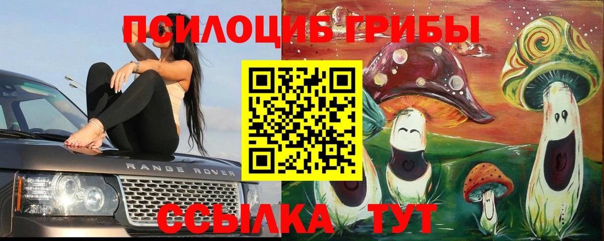 Псилоцибиновые грибы мухоморы  Вход с VPN  Воркута 
